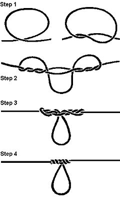 Fishing Knots And Knot Tying From Fishing Cairns - Queensland