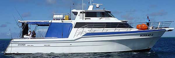 reel-deep-charters-fishing-cairns